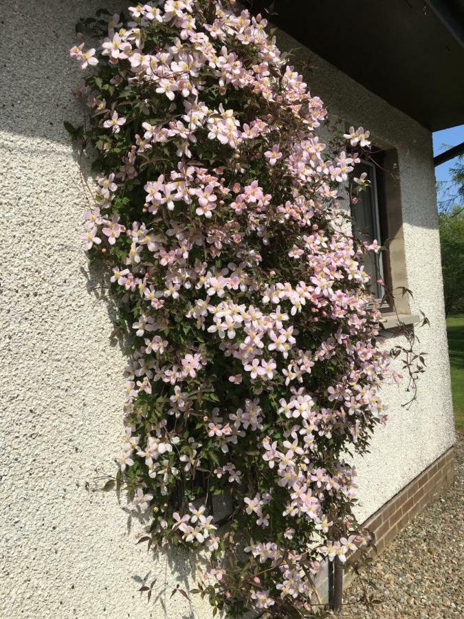 Heronlea Cottage Dunoon Exterior foto